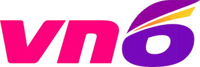 Logo vn6